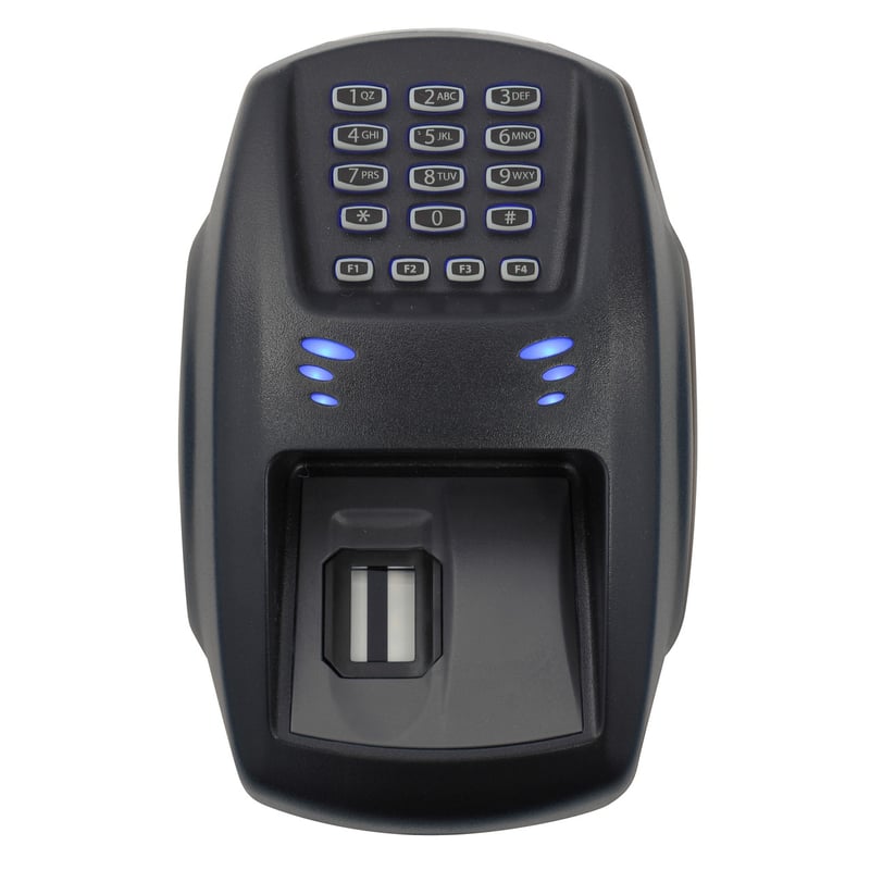 Temporal Scanner